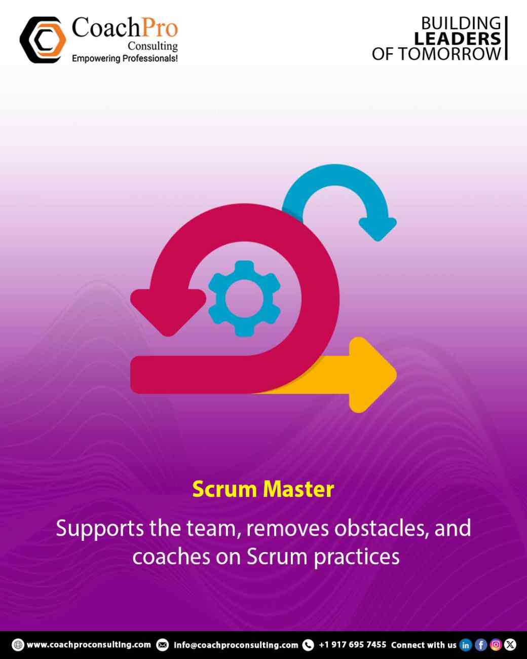 Master Portfolio Management Skills with Online Training - CoachPro Consulting