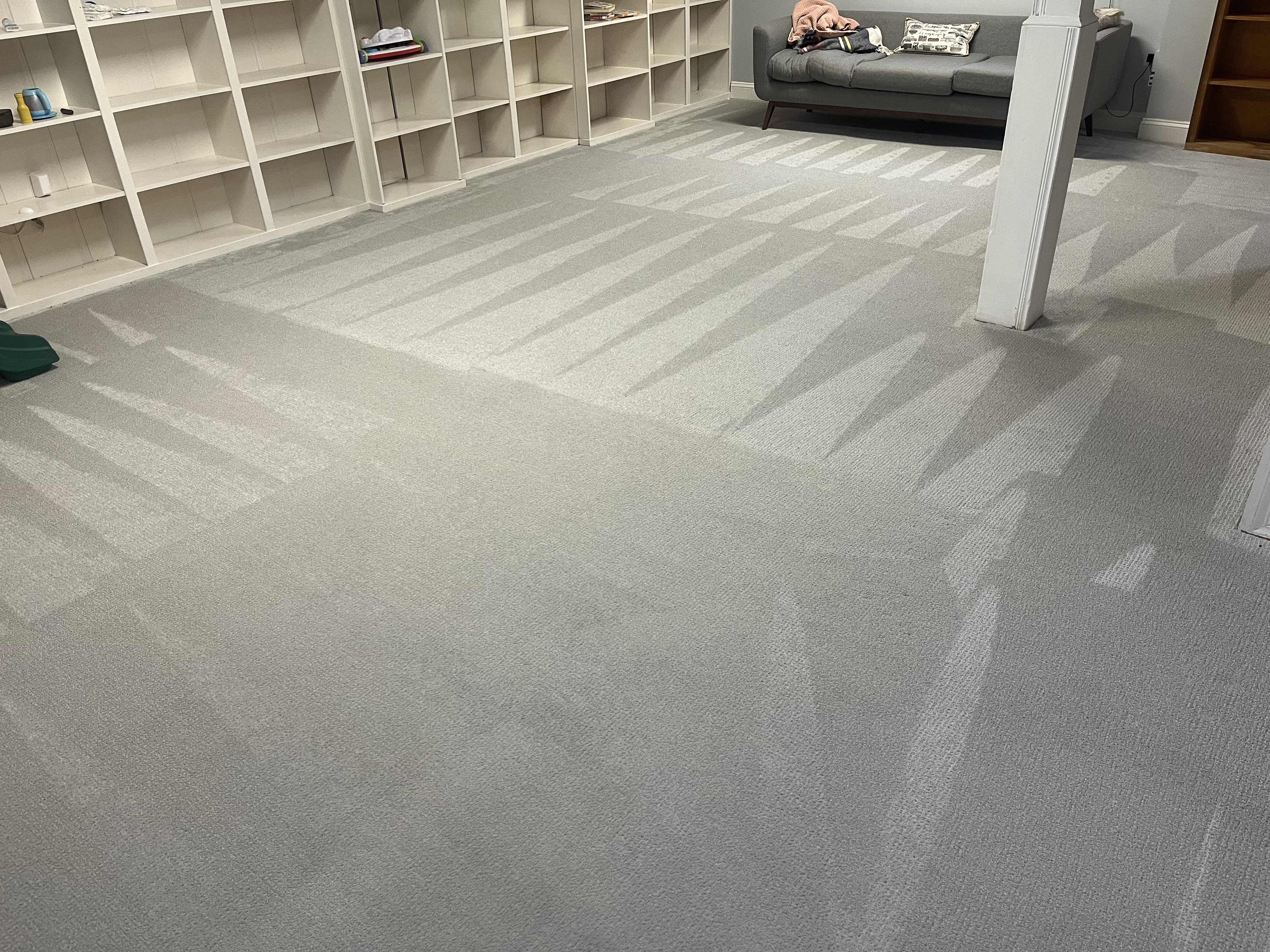 How Can Carpet Cleaning Silver Spring Help Homes With Kids and Pets?