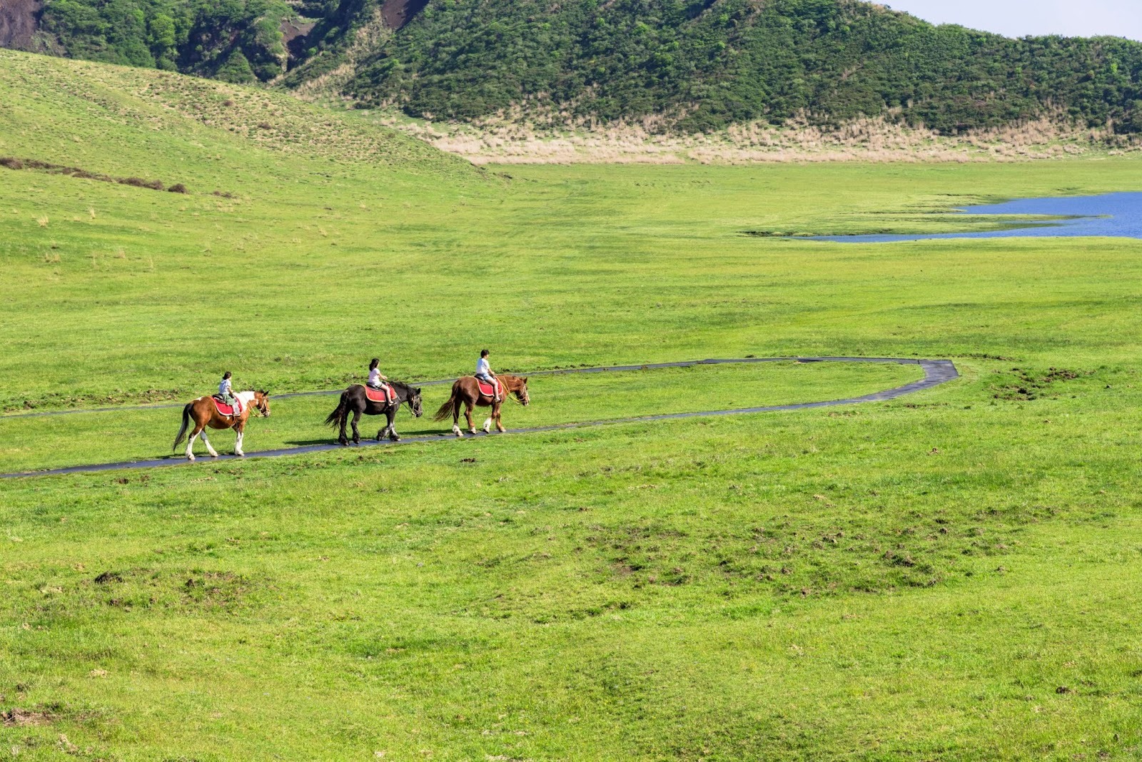 Japan eVisa for Djibouti Citizens – Requirements & Application Guide