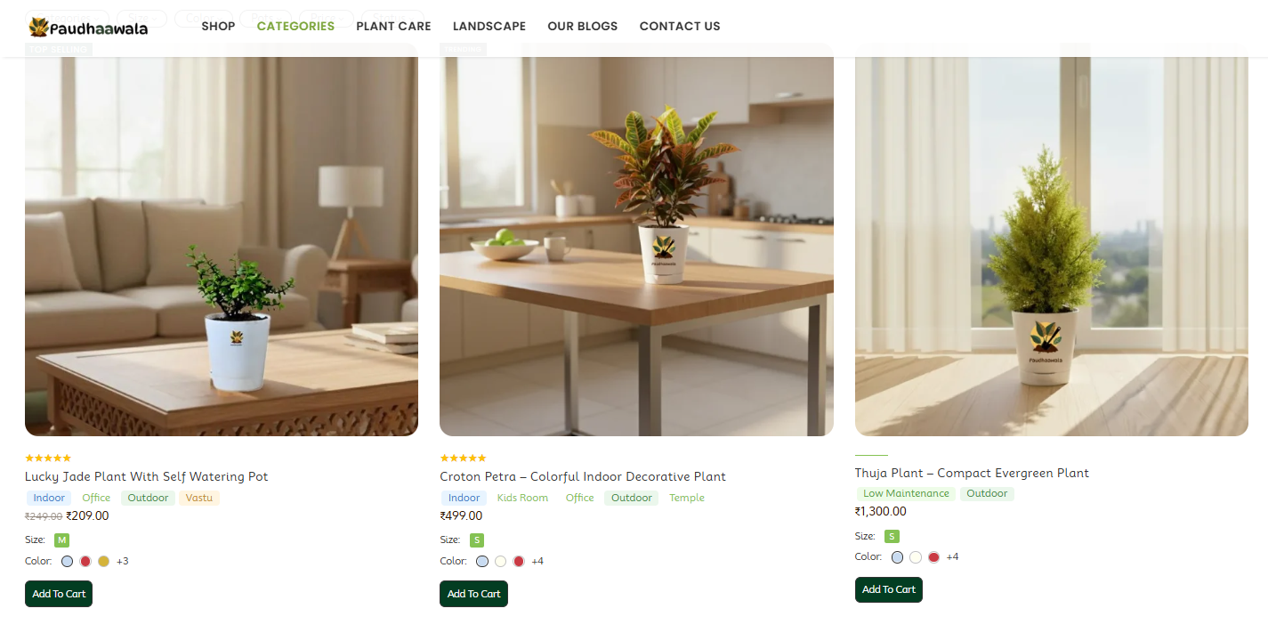 Create a Vibrant Paradise: Best Outdoor Flower Plants for Your Home