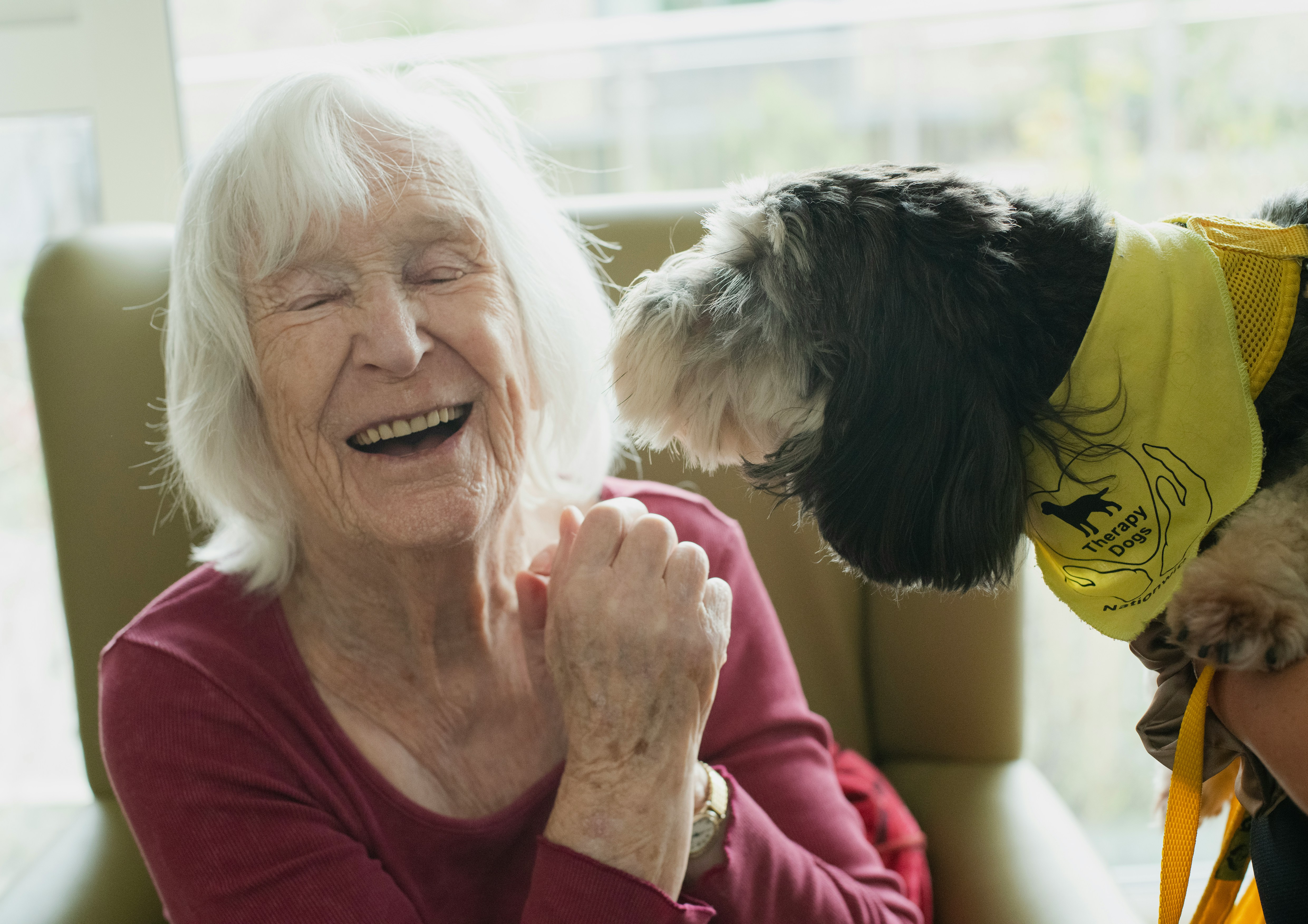 Supporting Mental Health in Later Life: A Guide to Geriatric Therapy in Charlotte