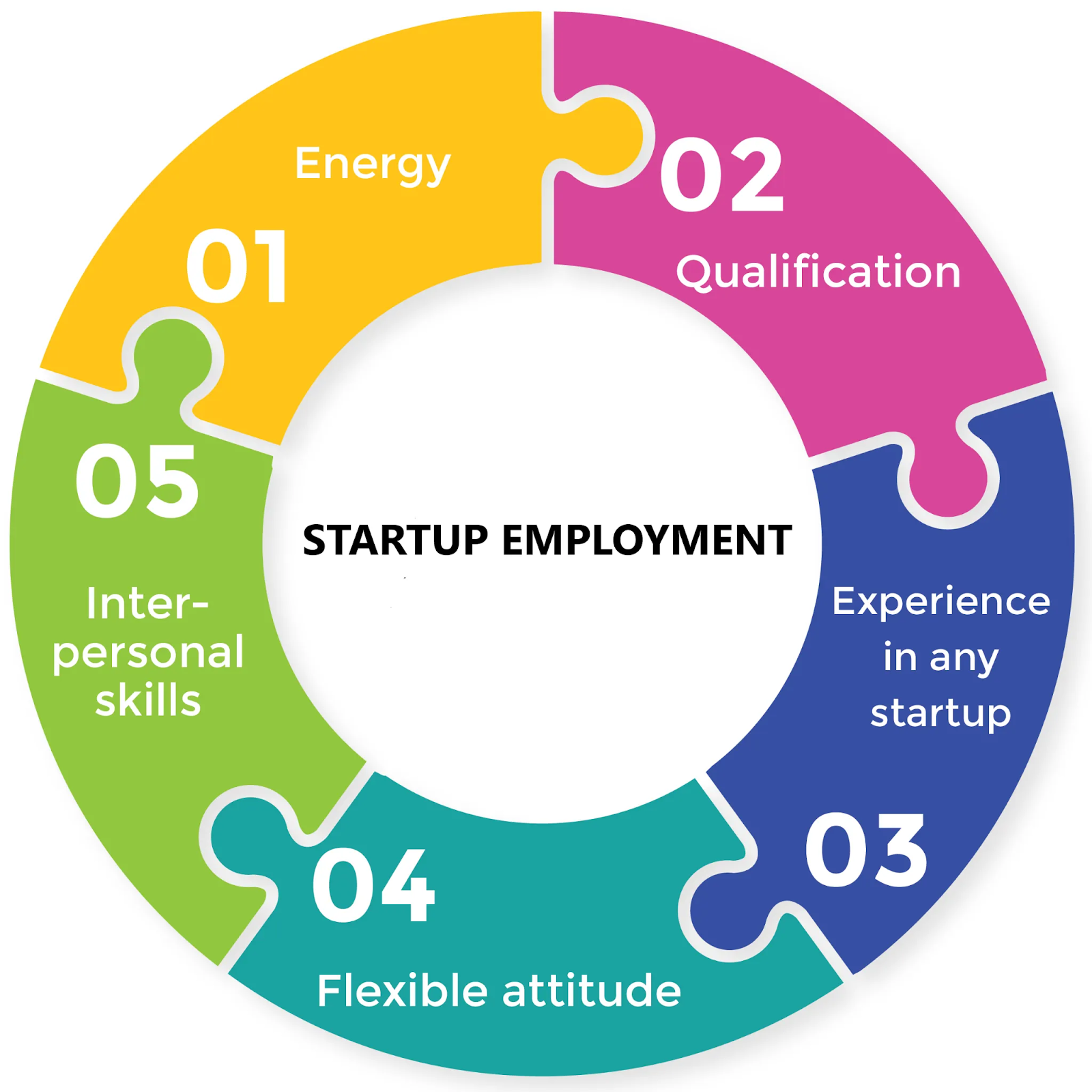 How to Find Developers for Your Startup: Wild.Codes Tips for Proactive Talent Hiring