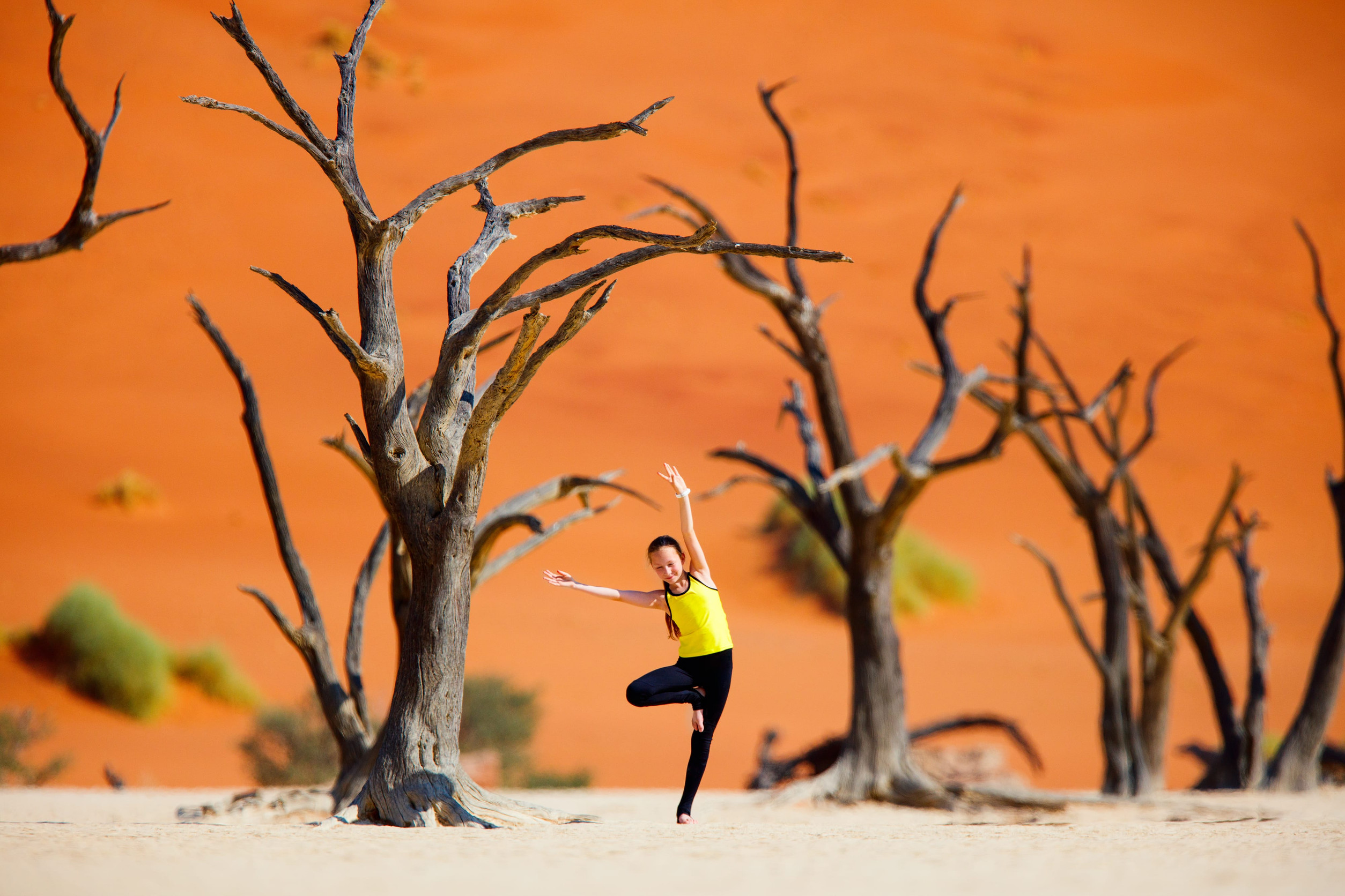 Namibia e-Visa for Vatican City Citizens – Requirements Guide