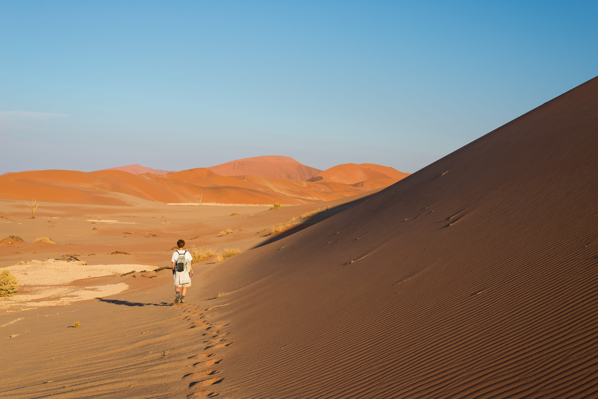 Namibia e-Visa for Vietnamese Citizens – Online Application Guide