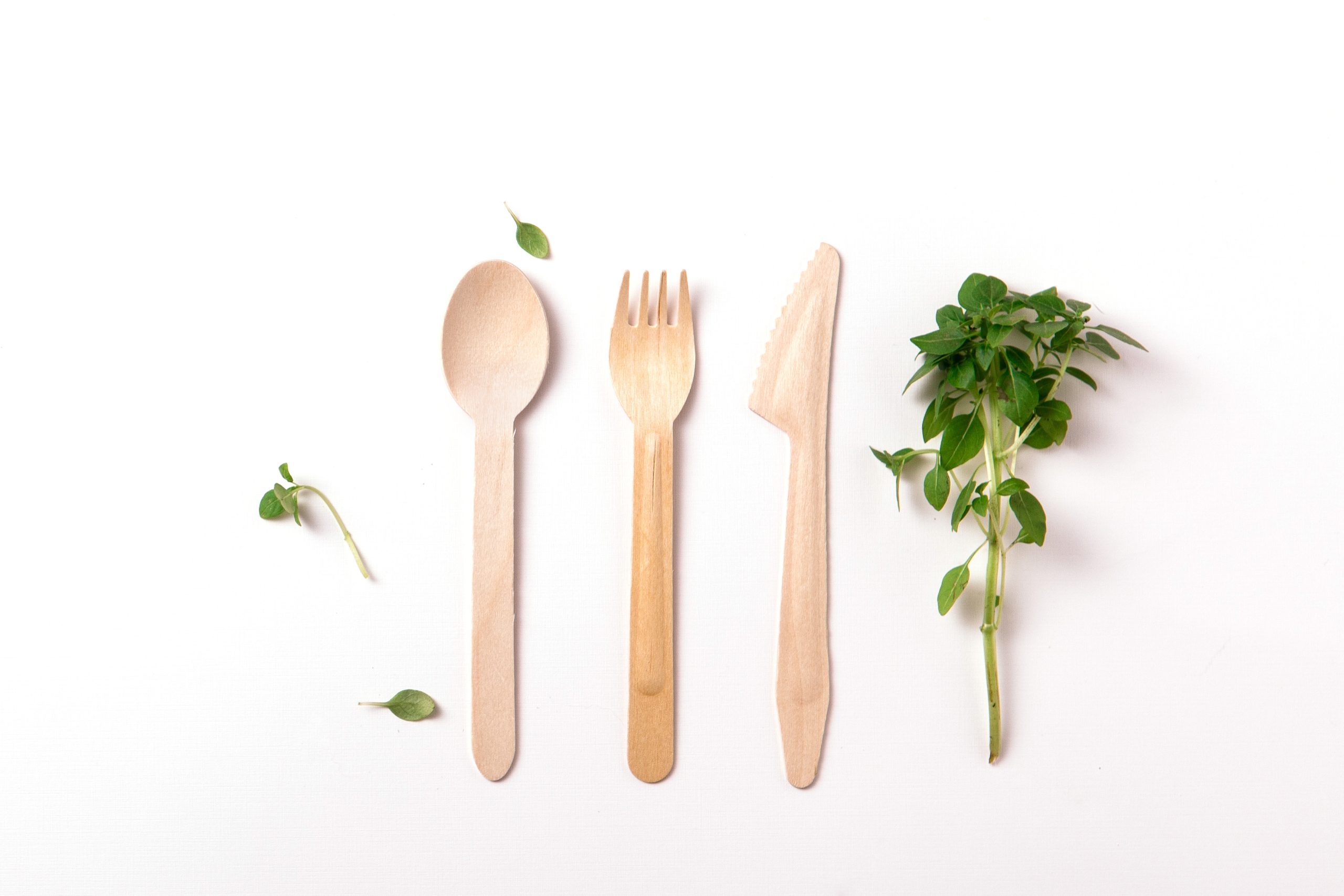 disposable wooden knife