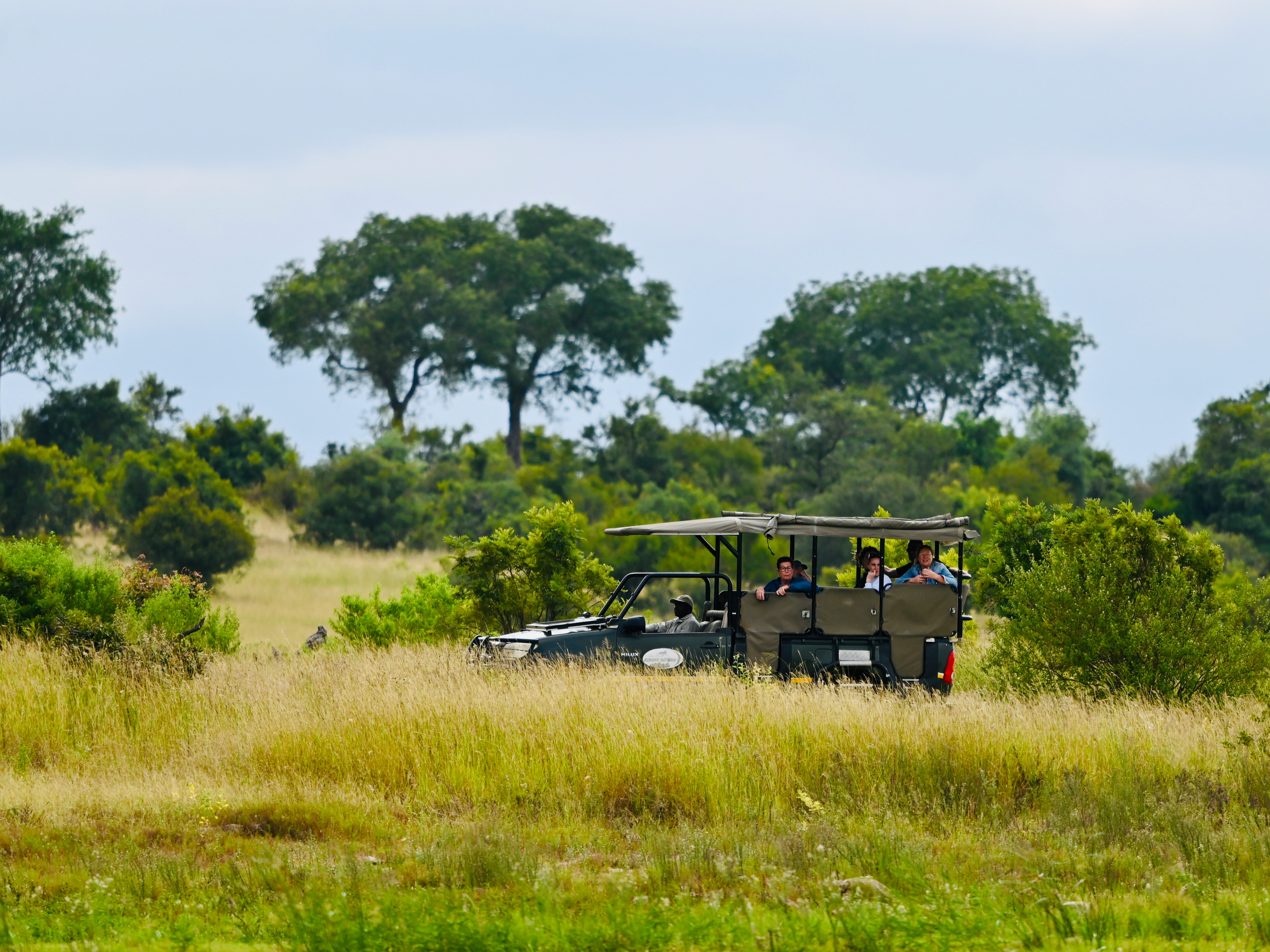 Bandhavgarh Jungle Safari in India (2025-26) – All You Need to Know BEFORE You Go