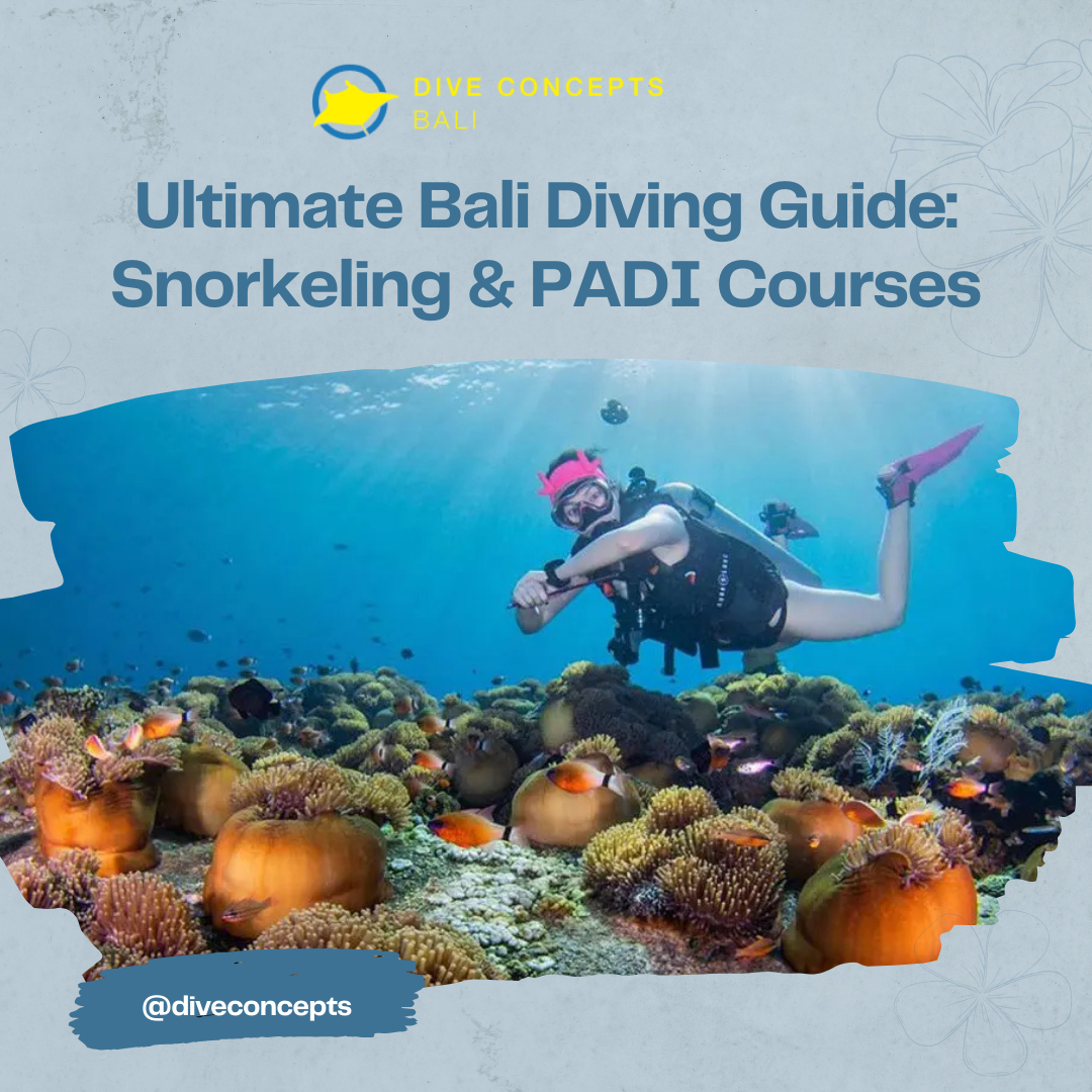  diving in Bali
