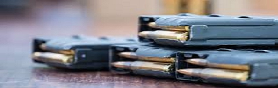 Experienced Legal Defense For Theft And Firearms Charges San Jose