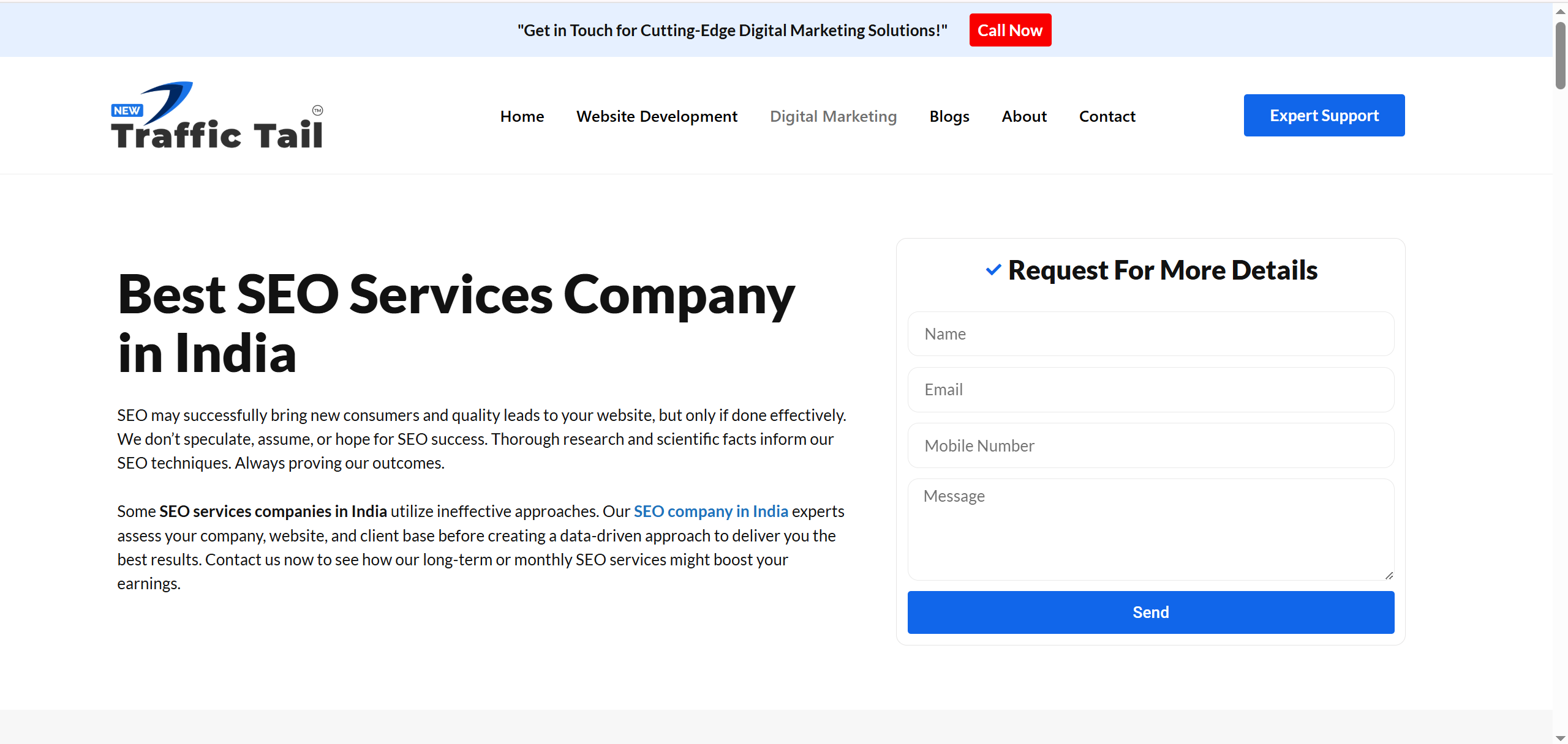 Best SEO Services Company in India