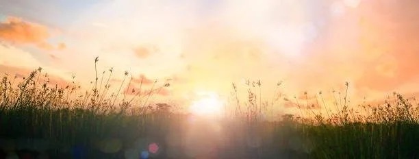 East Asian Psychotherapist in New York City: Culturally Attuned Therapy at Alisa Wu Therapy