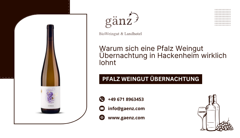 Pfalz Weingut Übernachtung