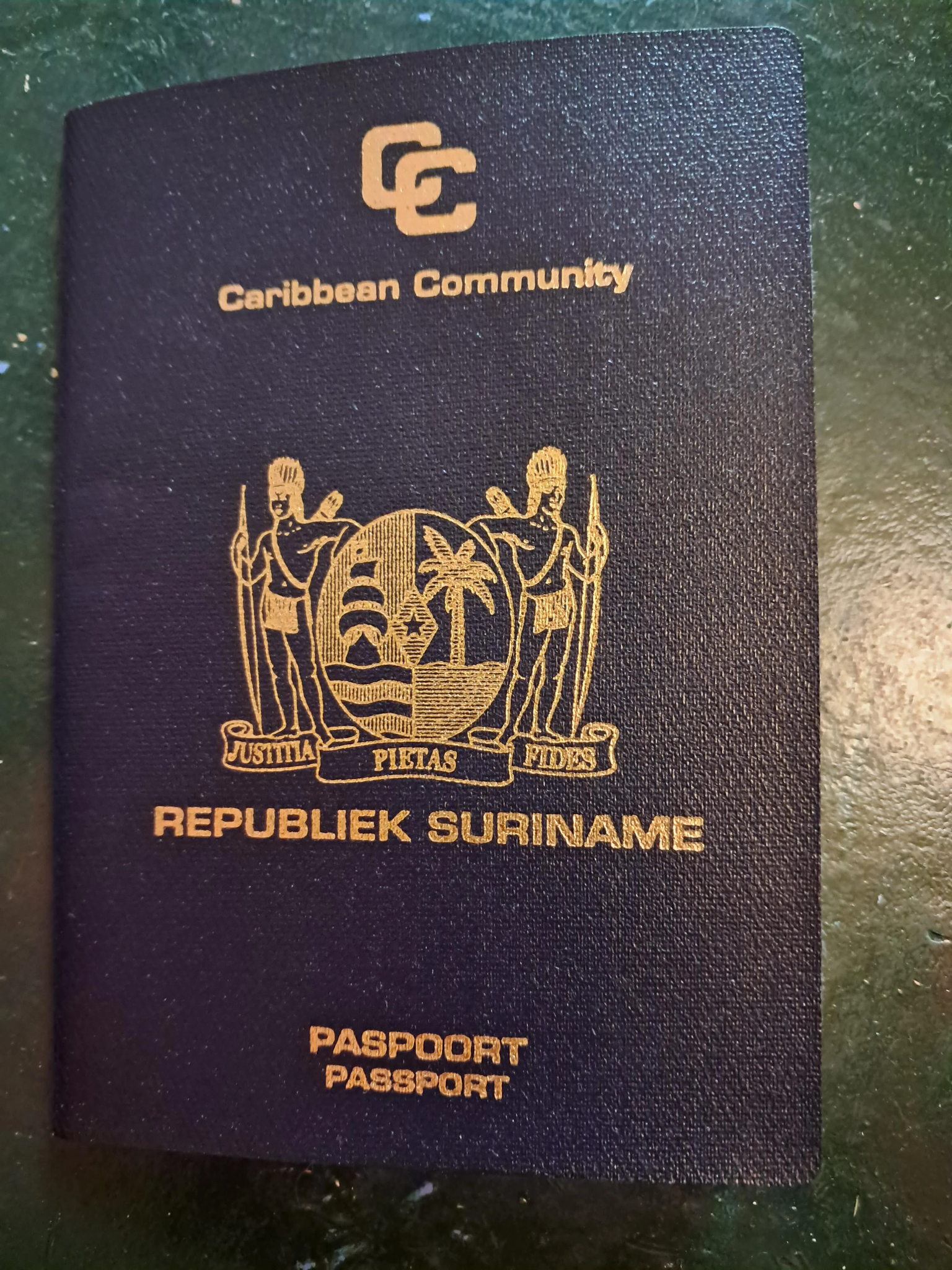 Guidelines for Completing Botswana Visa Application from Surinamea