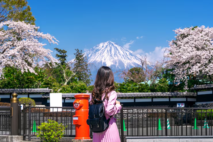 Japan eVisa apply for Saudi nationals online for tourism and vacations