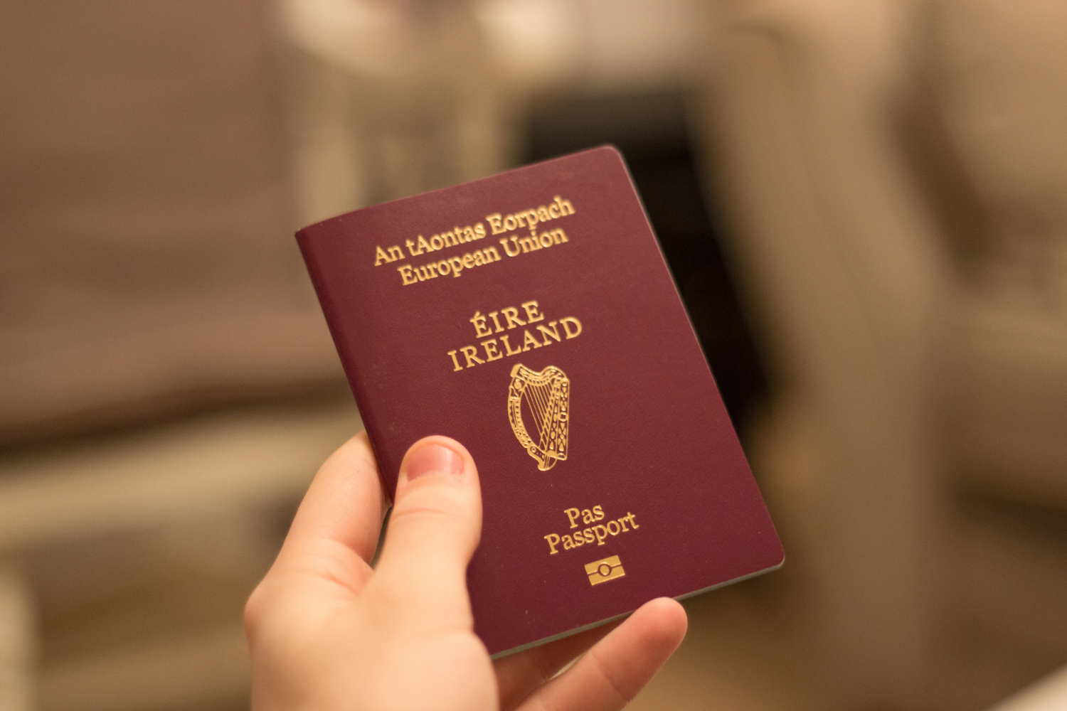 Egypt Visa for Ireland Citizens Online Application Guide