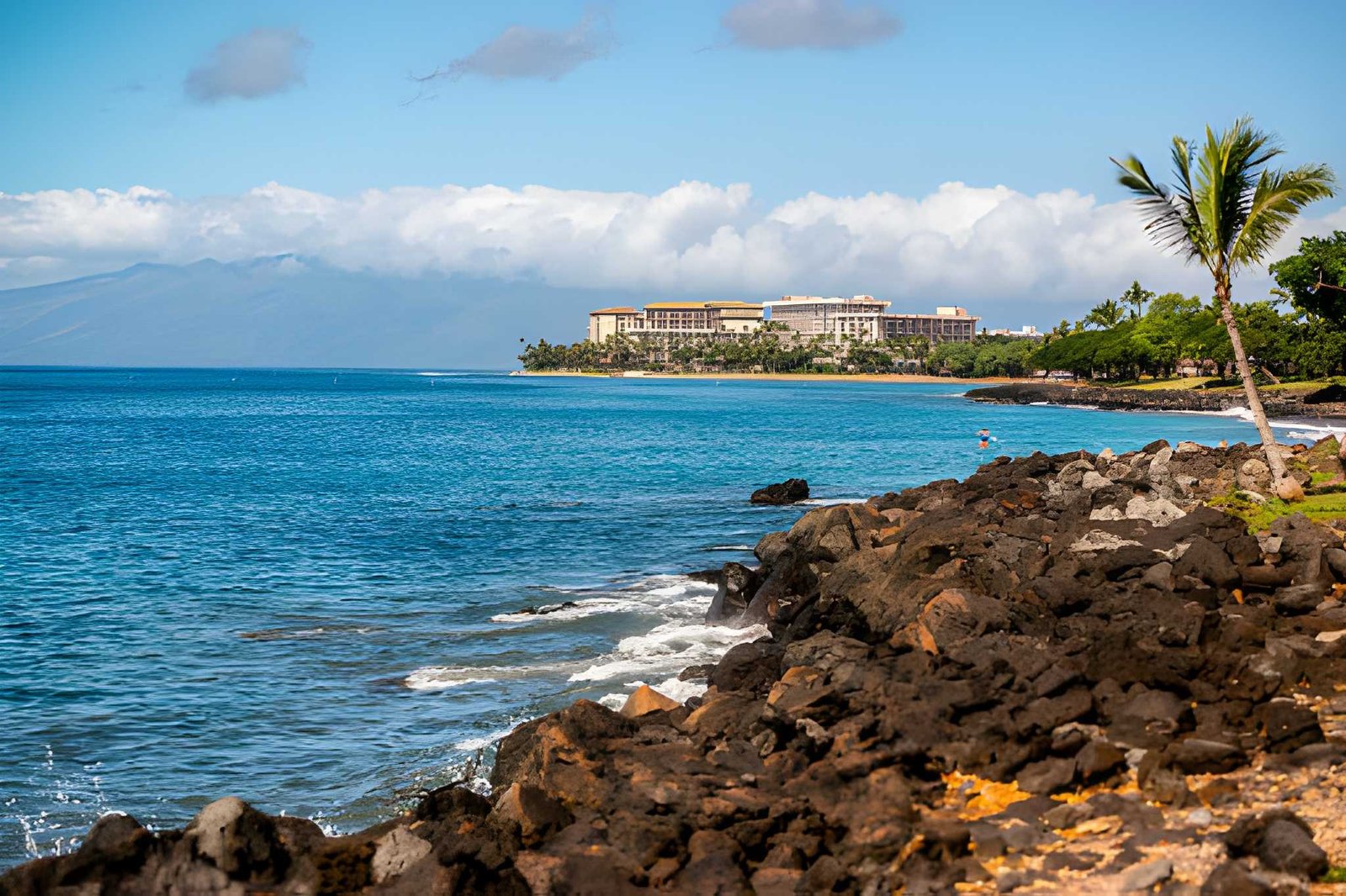 Hyatt Regency Maui Resort & Spa