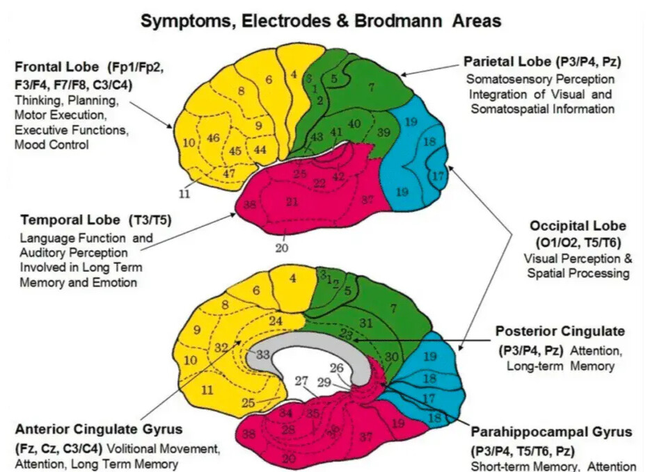 Brain Mapping for Depression Explained: Diagnosis & Treatment Insights