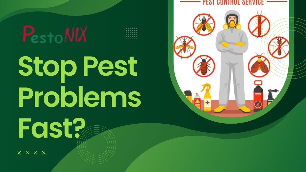 pest control service in Kolkata