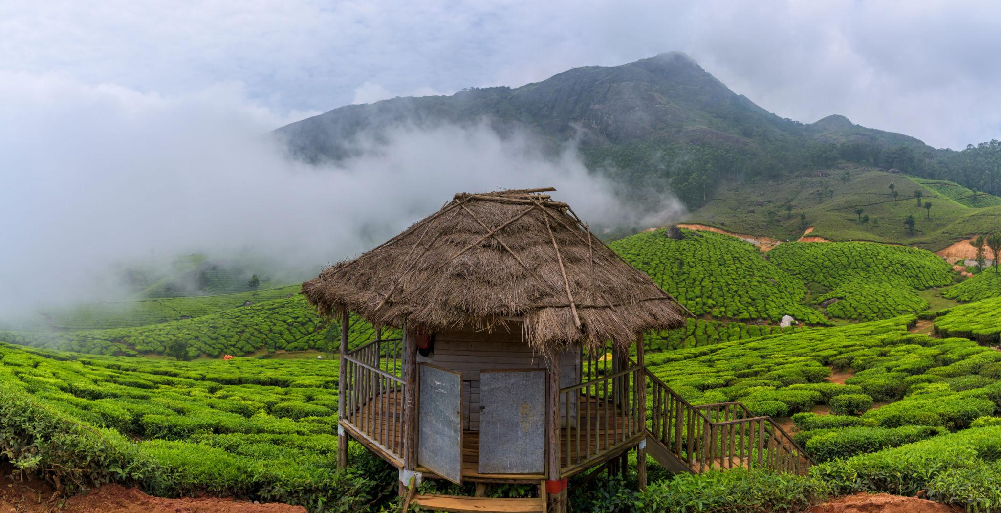 Munnar Thekkady Packages: A Beginner’s Travel Guide