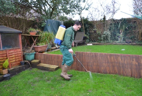 Complete Guide to Lawn Care, Moss Control & Mole Prevention in Chichester