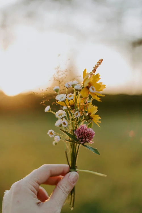 Is a Countryside Retreat the Perfect Way to Relax and Unwind?