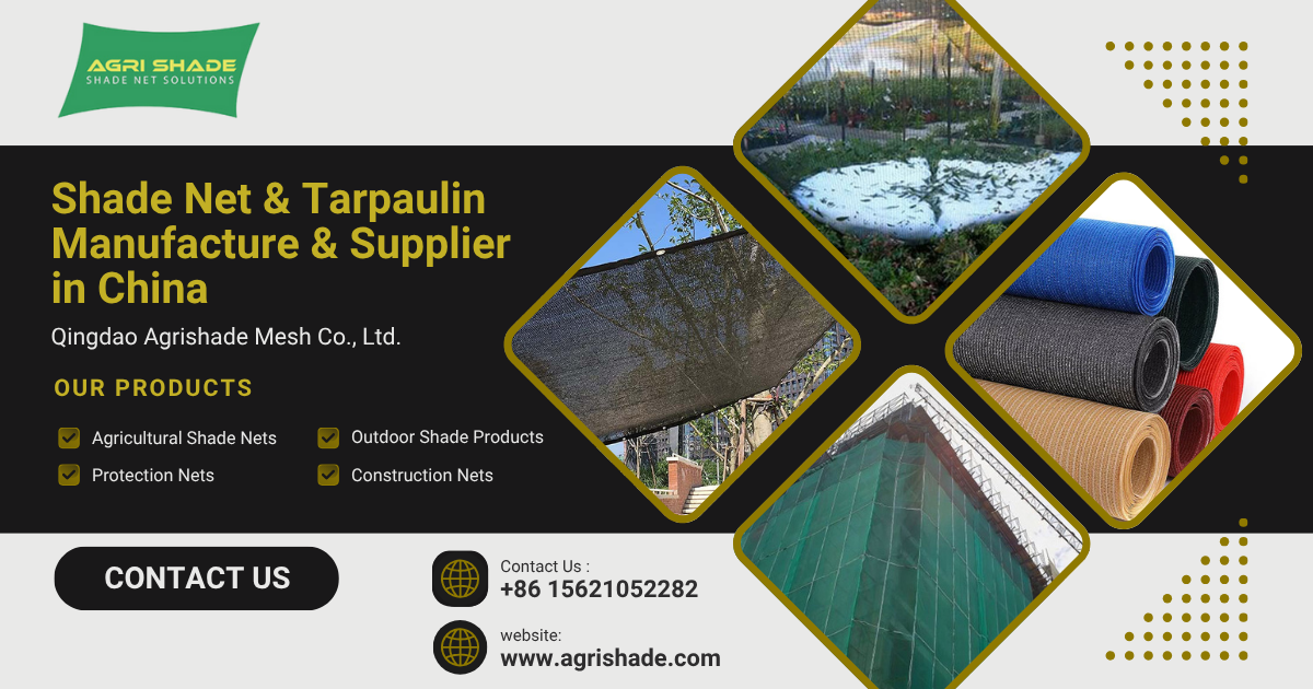 Triangle Sun Shade Sail: The Modern Solution for Sleek Outdoor Protection!