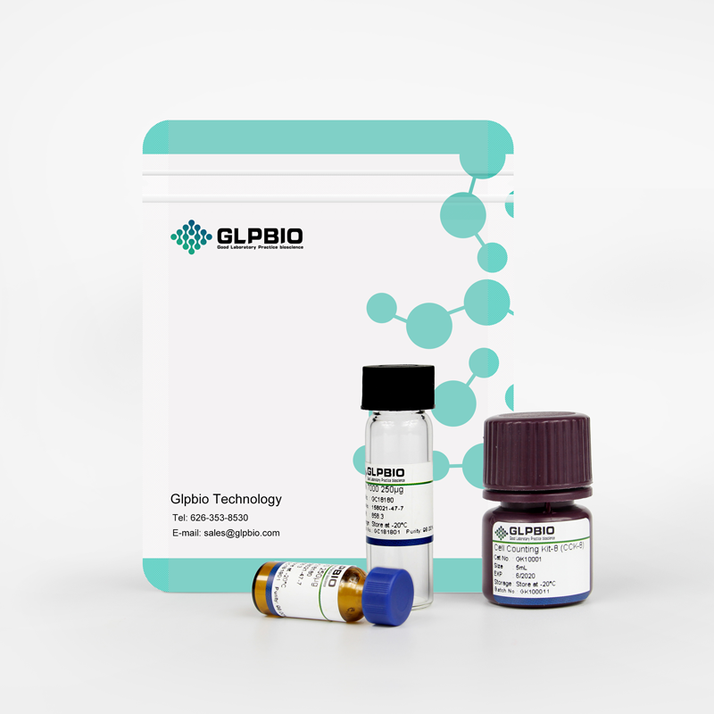 GMax™ Liposome2000 Transfection Reagent