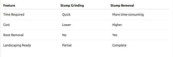 Complete Guide to Stump Removal in Brookhaven: Safe, Efficient & Hassle-Free Solutions