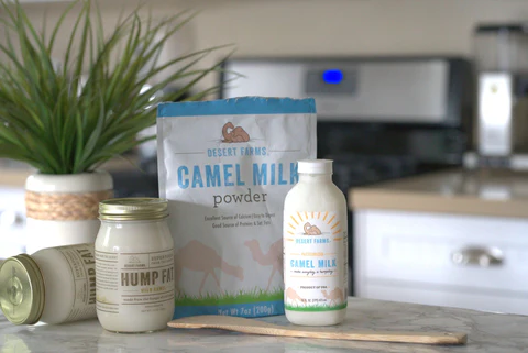 The 7 Wonders Of Camel Milk And Its Cultural Influence Abroad