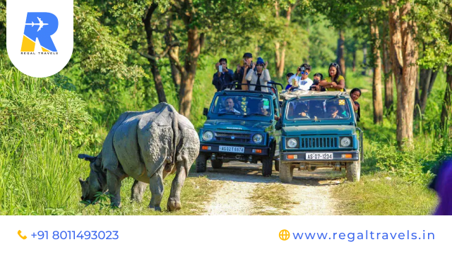 Arunachal Pradesh and Kaziranga Tour Explore Wildlife and Himalayan Beauty