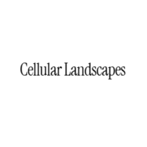 Cellular Landscapes