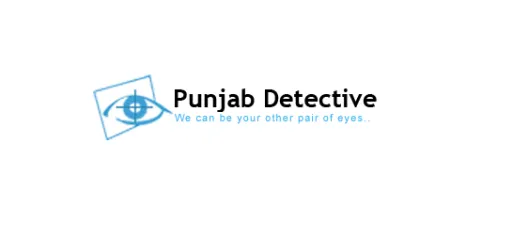Punjab Detective