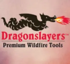 Dragonslayers,Inc