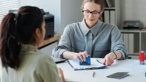 Immigration Consultant
