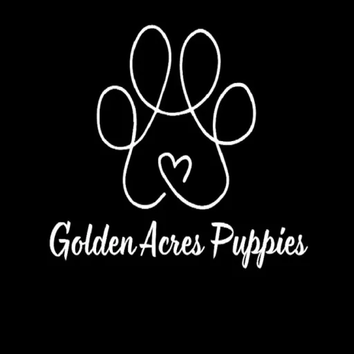 Golden Acres Puppies