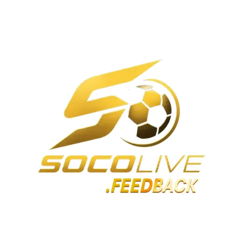 socolivefeedbackk1