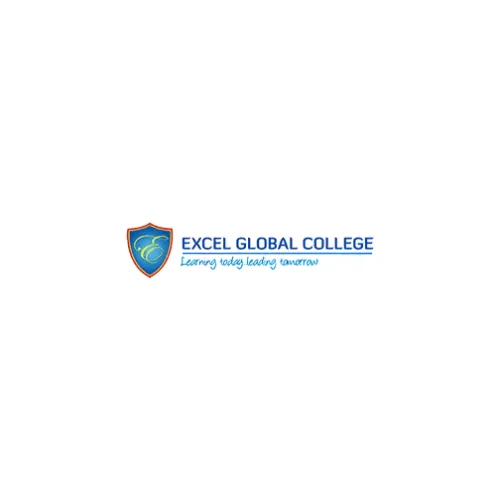 Excel Global College
