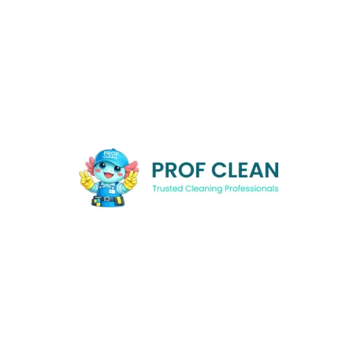 Prof-Clean