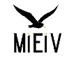 MIEIV – Men’s Fashion Store for Premium Shirts & Apparel