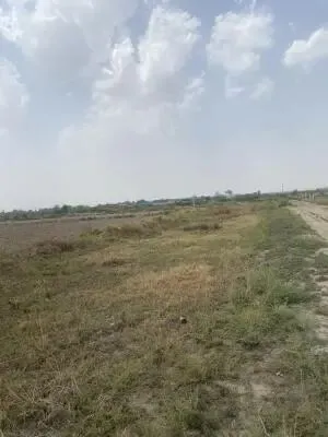 reeltor