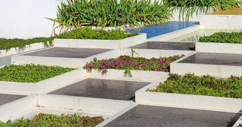 Economy Landscaping