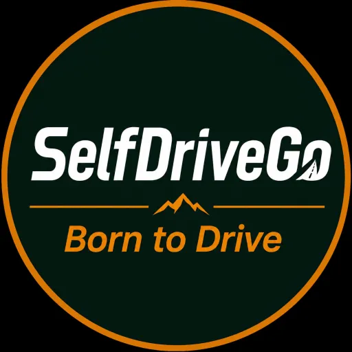 SelfDriveGo