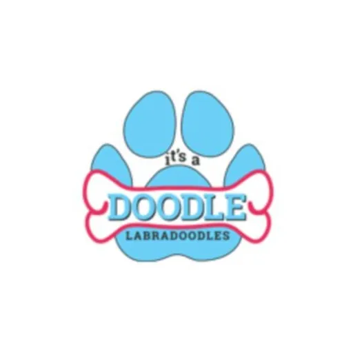 It's A Doodle K9 Service