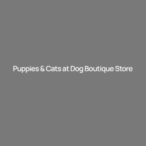 Puppies and cats
