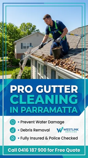 Gutter Cleaning