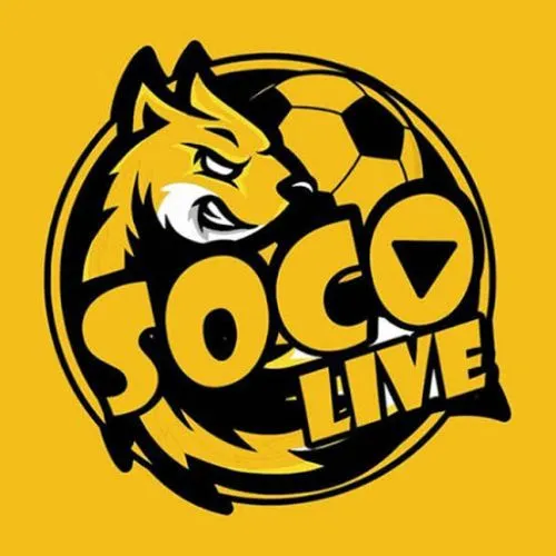 socolive bz