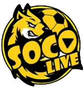 Socolive Immo