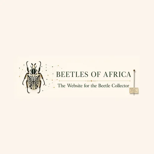 Beetles of Africa