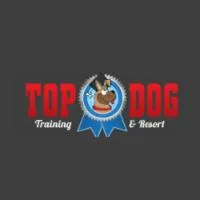 Dog Training Resort