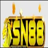 ytsn88com