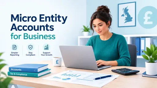 Micro Entity Accounts